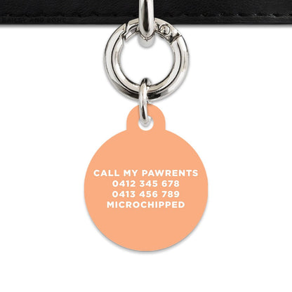 Bailey And Bone Pet Tag Pastel Orange Hello My Name Is Pet Tag