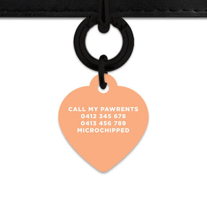 Bailey And Bone Pet Tag Pastel Orange Hello My Name Is Pet Tag
