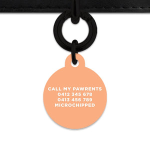Bailey And Bone Pet Tag Pastel Orange Hello My Name Is Pet Tag