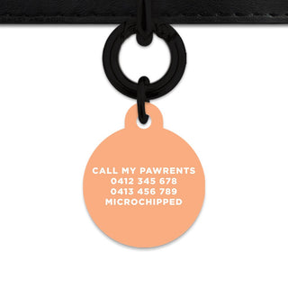 Bailey And Bone Pet Tag Pastel Orange Hello My Name Is Pet Tag