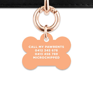 Bailey And Bone Pet Tag Pastel Orange Hello My Name Is Pet Tag