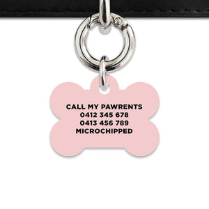 Bailey And Bone Pet Tag Pastel Painted Leaves Pet Tag