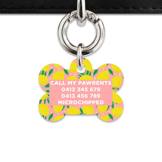 Bailey And Bone Pet Tag Pink And Yellow Lemons Pet Tag