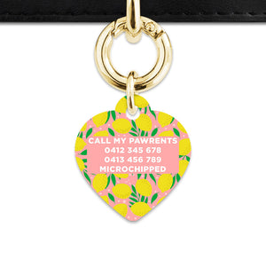 Bailey And Bone Pet Tag Pink And Yellow Lemons Pet Tag