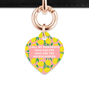 Bailey And Bone Pet Tag Pink And Yellow Lemons Pet Tag