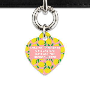 Bailey And Bone Pet Tag Pink And Yellow Lemons Pet Tag