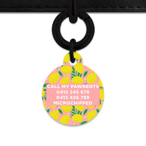 Bailey And Bone Pet Tag Pink And Yellow Lemons Pet Tag