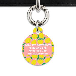 Bailey And Bone Pet Tag Pink And Yellow Lemons Pet Tag