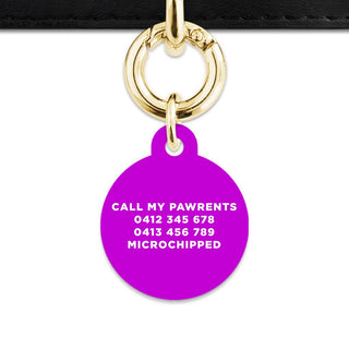 Bailey And Bone Pet Tag Purple Hello My Name Is Pet Tag