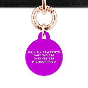 Bailey And Bone Pet Tag Purple Hello My Name Is Pet Tag