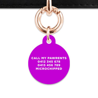 Bailey And Bone Pet Tag Purple Hello My Name Is Pet Tag