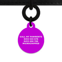 Bailey And Bone Pet Tag Purple Hello My Name Is Pet Tag