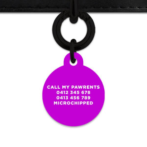 Bailey And Bone Pet Tag Purple Hello My Name Is Pet Tag