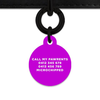 Bailey And Bone Pet Tag Purple Hello My Name Is Pet Tag