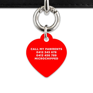 Bailey And Bone Pet Tag Red Hello My Name Is Pet Tag