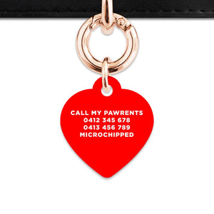 Bailey And Bone Pet Tag Red Hello My Name Is Pet Tag