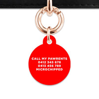 Bailey And Bone Pet Tag Red Hello My Name Is Pet Tag