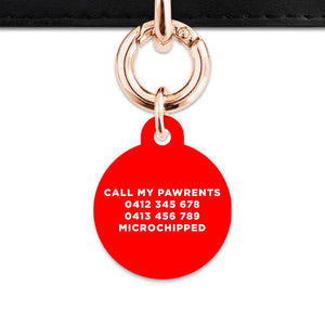 Bailey And Bone Pet Tag Red Hello My Name Is Pet Tag