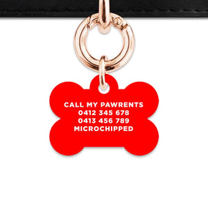 Bailey And Bone Pet Tag Red Hello My Name Is Pet Tag