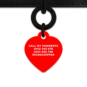 Bailey And Bone Pet Tag Red Hello My Name Is Pet Tag