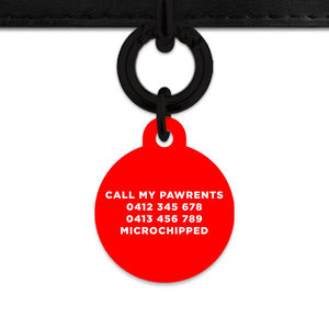 Bailey And Bone Pet Tag Red Hello My Name Is Pet Tag