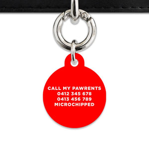 Bailey And Bone Pet Tag Red Hello My Name Is Pet Tag