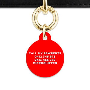 Bailey And Bone Pet Tag Red Hello My Name Is Pet Tag