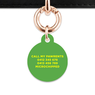 Bailey And Bone Pet Tag Sunflowers Pet Tag