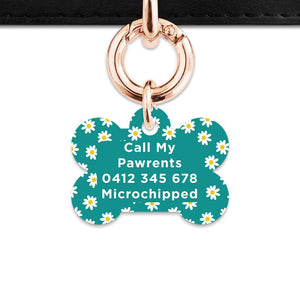 Bailey And Bone Pet Tag Teal Daisy Pattern Pet Tag